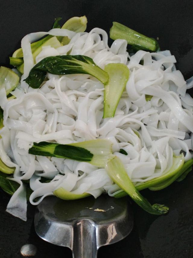 炒河粉的家常做法和配方窍门（营养丰富色泽诱人）(7)