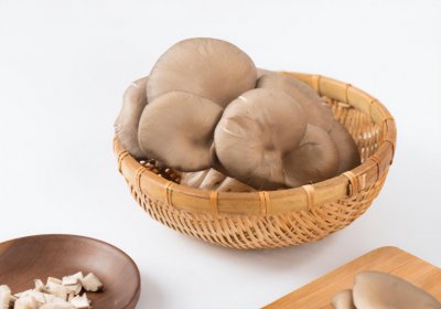 ​菌菇包买回家怎样种植视频（菌包在家怎么种植方法）