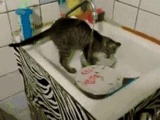 洗碗的正确方法（怎么洗碗）