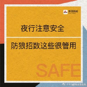 ​“净网2019”出行，防狼招数这些很管用！