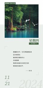 ​作家日签 | 田原：与鸟有关