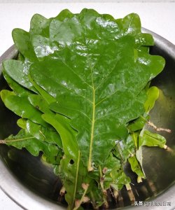 ​高压锅煮粽子，又快又糯又好吃，小白一学就会