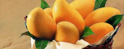 ​火龙果芒果可以一起吃吗