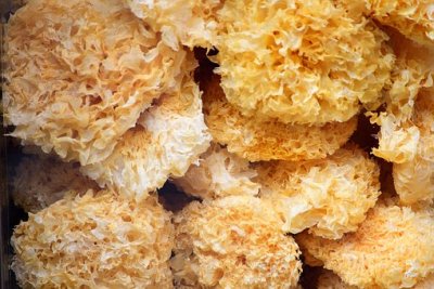 ​雪耳和银耳的区别