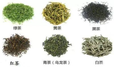 ​最好的茶叶品种有哪些？福建茶叶品种有哪些