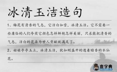 ​玉洁冰清的意思是什么（玉洁冰清的含义）
