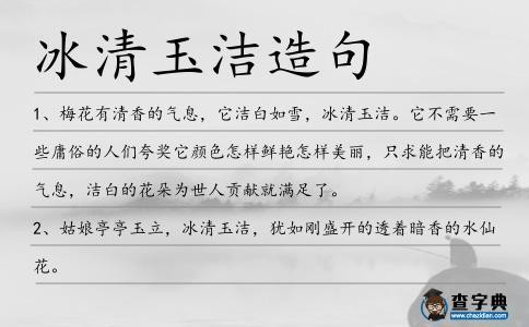 玉洁冰清的意思是什么（玉洁冰清的含义）