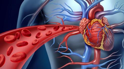 促进血液循环的方法（3种方法来促进血液循环）