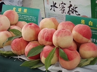 ​哪里的桃子最好吃？中国桃子前五，你最钟爱哪个？