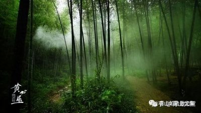 ​「038」杂文随笔——黄公望故居