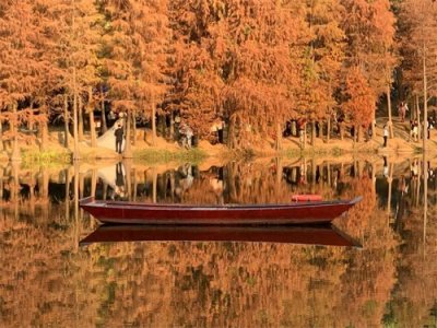 ​《瓦尔登湖》20个神仙句子，句句经典，建议收藏