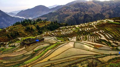 ​统计局是什么单位