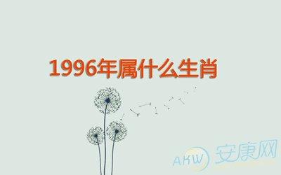 1996年属相是属什么的