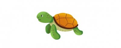 ​甲鱼是王八还是鳖