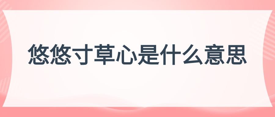 悠悠寸草心是什么意思(悠悠寸草心指什么)