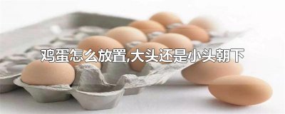 ​鸡蛋怎么放置,大头还是小头朝下