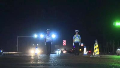 ​路虫子是什么意思啊