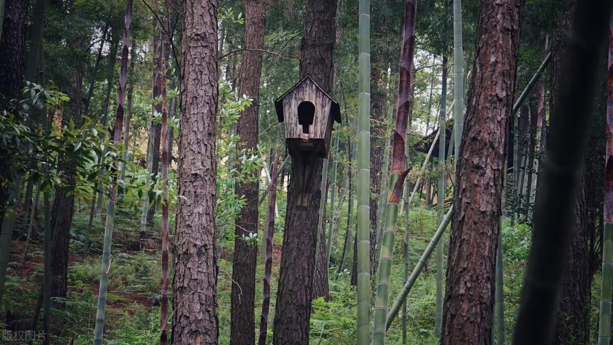 潮州旅游攻略必去景点推荐(广东潮州旅游必去十大景点)