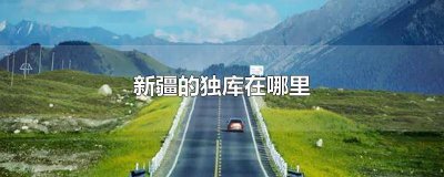 ​新疆217线独库公路地图 新疆到西藏的路线独库公路