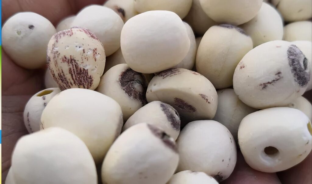 立夏的夏什么意思_立夏有三侯