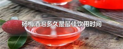 ​杨梅酒泡多久是最佳饮用时间 杨梅酒大概要浸泡多长时间才可以喝