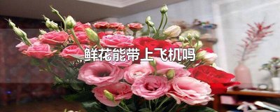 ​鲜花能够带上飞机吗国内 鲜花能够带上飞机吗现在