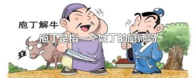 ​庖丁指的是姓丁的厨师 庖丁指的是厨师吗