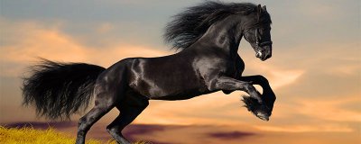 ​唐马的寓意和象征