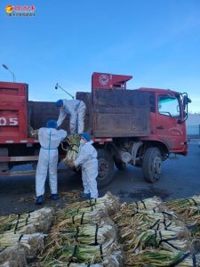 ​倾听群众诉求 解决急难愁盼 | 乌鲁木齐骑马山西社区团购大葱 两头的难题都解决了