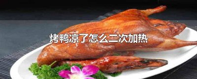 ​烤鸭如何二次加热视频 烤鸭二次加热烤箱温度