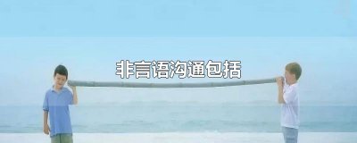 ​非言语沟通包括
