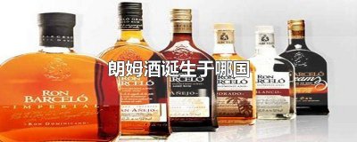 ​朗姆酒诞生于哪国 朗姆酒诞生于哪个国家