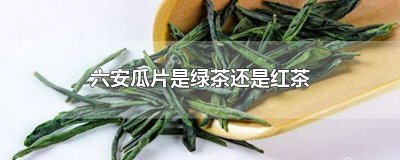 ​六安瓜片茶是红茶还是绿茶 安徽六安瓜片是绿茶还是红茶