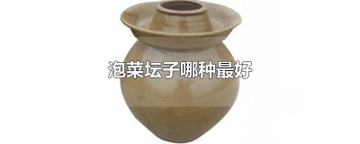 ​泡菜坛子哪种最好