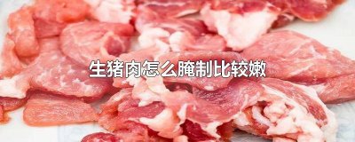 ​猪肉怎么腌制更嫩 怎样腌猪肉嫩又好吃