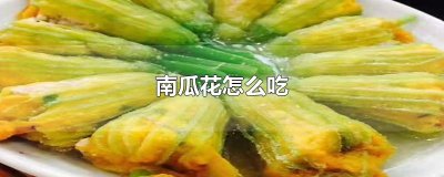 ​南瓜花怎么吃