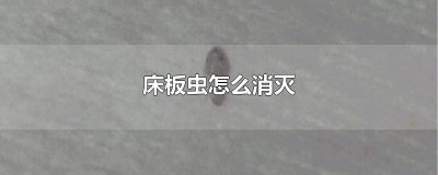 ​床板的虫怎么处理最快 啃床板的虫子如何杀灭