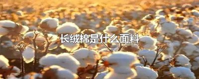 ​长绒棉是什么面料优缺点 长绒棉和全棉什么区别