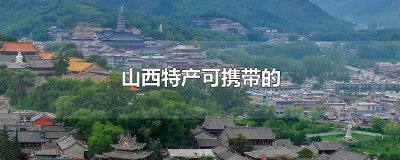 ​山西特产可携带的