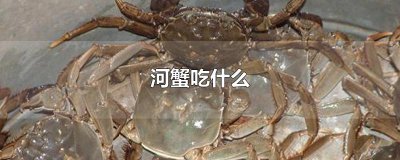 ​河蟹吃什么