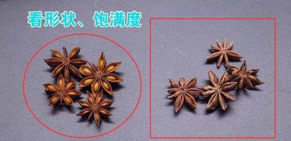 八角怎么挑选,如何选购八角 八角正确选购的四个步骤视频图3