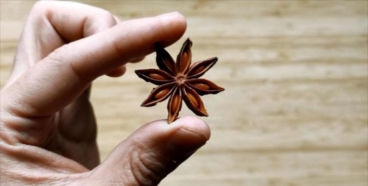 怎样选购优质八角