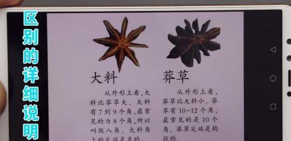 八角怎么挑选,如何选购八角 八角正确选购的四个步骤视频图7