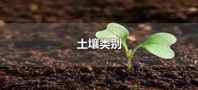 ​土壤类别（土壤类别划分几类）