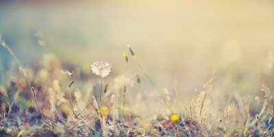 ​最婉转不伤人的分手话，委婉暗示然后和平解决