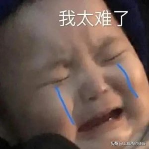 ​青椒肉丝图片（分享青椒肉丝最正确的做法）