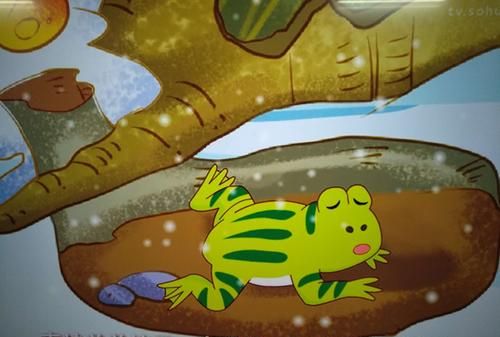 小青蛙怎么过冬