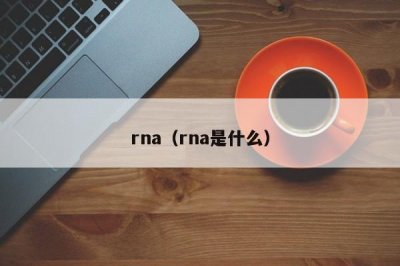 ​rna（rna是什么）