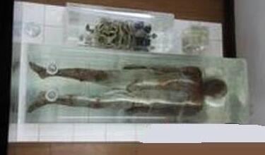 黄河透明棺材事件图（黄河清淤泥挖出诡异透明棺材）(1)