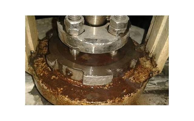 十二星座女中谁最懂经营婚姻？